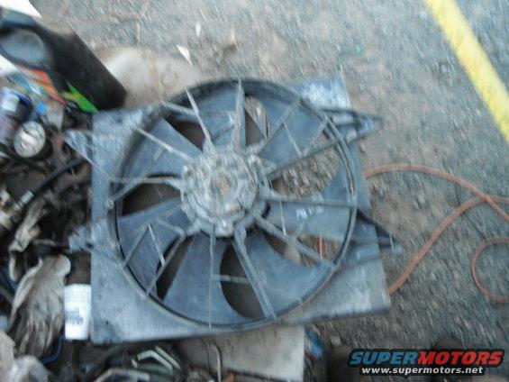 Radiator fan assembly with black blades and gray housing