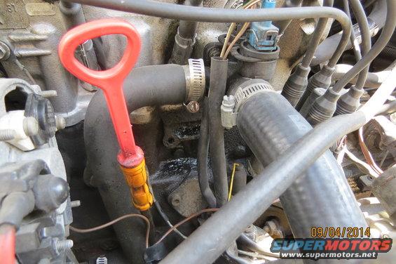 Close-up of an engine bay, showing an orange oil dipstick and various hoses and wires