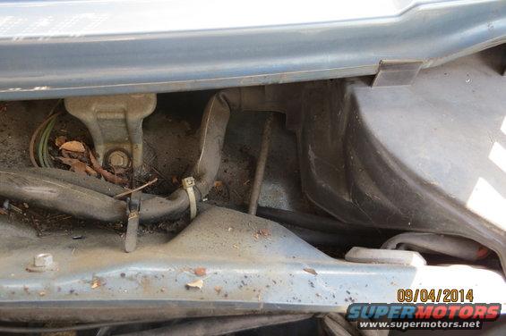 close-up of car's engine bay with hoses and wires