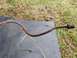 1979 Ford Bronco - A rusty metal brake line lies on a black mat outdoors.