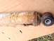 1979 Ford Bronco - A heavily rusted shock absorber, possibly from a vehicle, shows some identifying text and signs of damage.