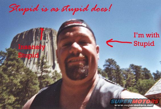 stupid.jpg Der where am I
