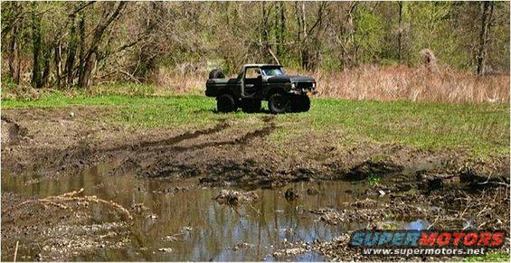 Black pickup truck with spare tire on back, stuck in mud near trees