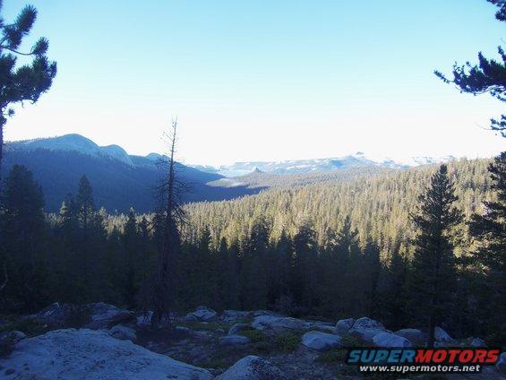 Mountain landscape with pine forest and rocky foreground