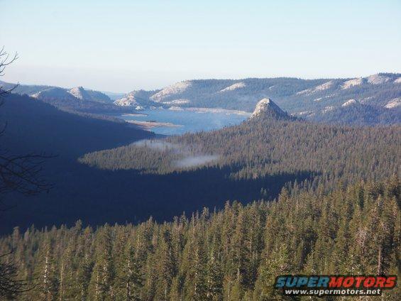 Mountain landscape with a lake and dense pine forest, clear sky