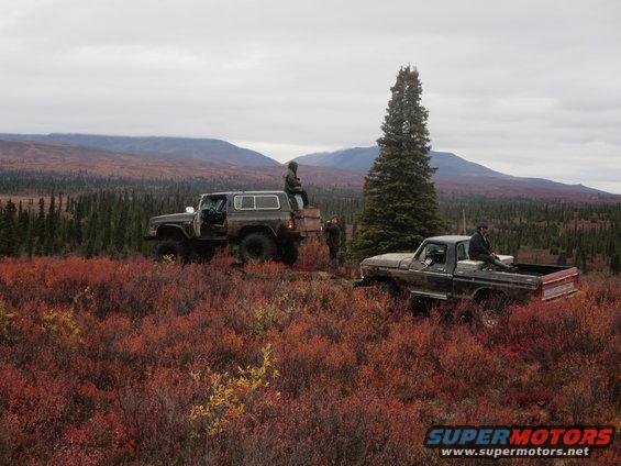 Two trucks parked in a field of red bushes with mountains in the background. The truck on the right is a dark-colored pickup