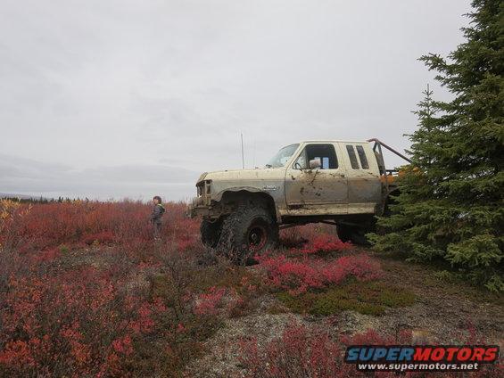 Cream-colored off-road truck with large tires, parked in a field of red bushes