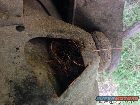 Rusty metal frame with bird's nest inside