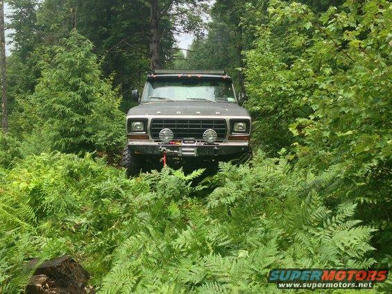 Front view of a 1979 Ford Bronco driving through dense woods