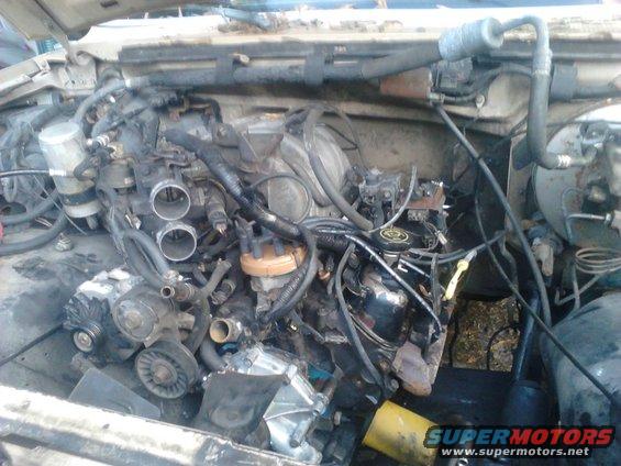 p82a03471.jpg original 302 all disconnected and ready to be pulled. tranny is partially ready to be dropped. ran great, just had top end completely redone but needs new bearings.