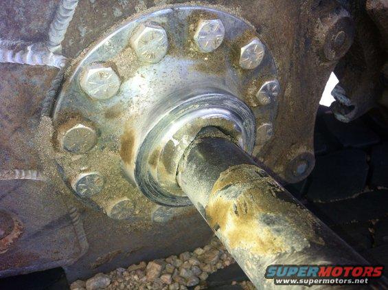 Broken custom 300m snout