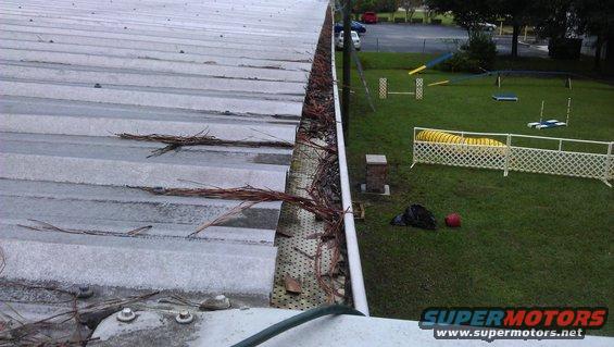 Metal roof gutter filled with pine needles and debris, with a dog agility course in the background