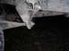 1990 Ford F-150 - Underside view of a heavily used truck suspension part, showing rust and wear.