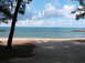 2011 Harley-Davidson Elec Gld Police - A tranquil beach scene unfolds with a prominent palm tree, the vast ocean, and a sky dotted with clouds.