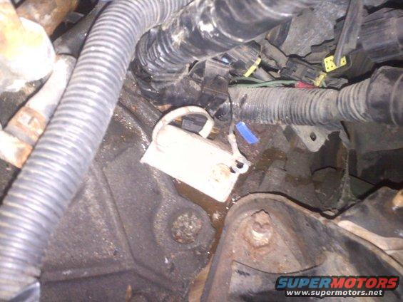 Engine bay detail with white label and blue zip tie