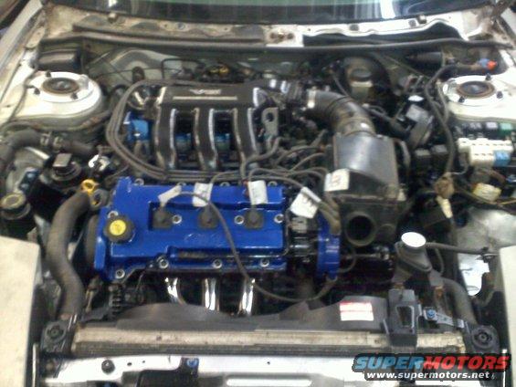 Engine bay with blue painted valve covers and chrome exhaust manifolds
