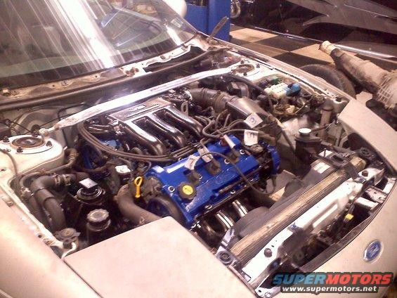 Engine bay with blue valve covers and chrome headers