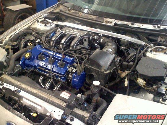 Engine bay with blue Ford valve covers and chrome exhaust headers