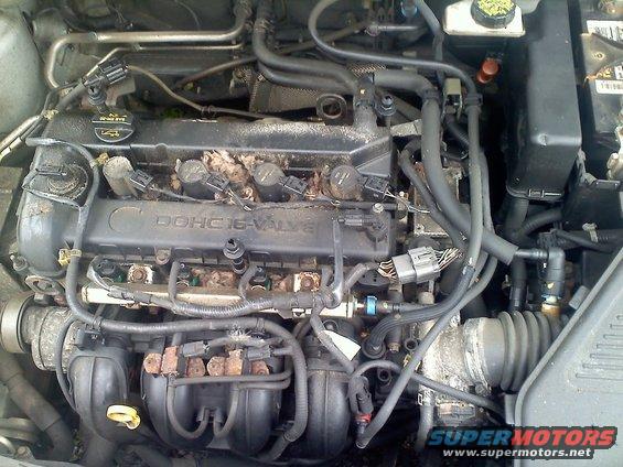 Engine bay with DOHC 16-VALVE cover and various hoses and wiring