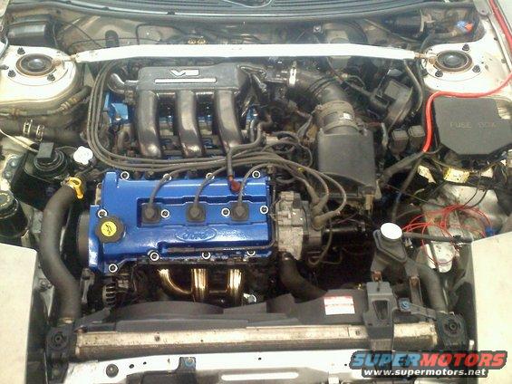 Engine bay with blue Ford-branded valve covers and gold exhaust headers