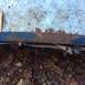 1979 Ford Bronco - Close-up of a rusted metal panel, likely from a vehicle part, with fallen leaves visible underneath.