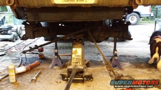 Undercarriage of a vehicle supported by jack stands, with a dog in the background and another vehicle partially visible