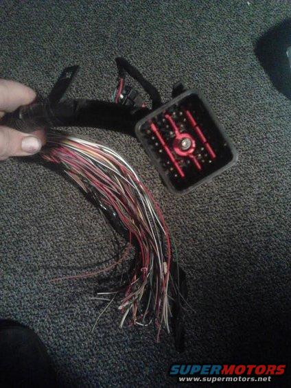1.jpg the trucks end of the Explorer wiring harness. 39 wires I need to identify and adapt to the F250 harness. the F250 wont have a lot of the circuits so I will have to delete/adapt/ add them depending on purpose