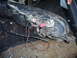 1993 Mazda MX-3 - A close-up view of a detached car taillight assembly, showing its internal wiring and connectors.
