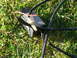 1993 Mazda MX-3 - Automotive electronic part with wires and clips, placed on a grassy surface.