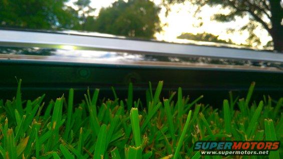 Green grass in foreground, dark vehicle tailgate with chrome trim and reflection of sky and trees
