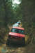 1995 Ford Bronco - A line of vehicles navigates a narrow, muddy trail surrounded by dense forest.