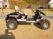 1996 Ford Bronco - My Dale SR. Golf Cart