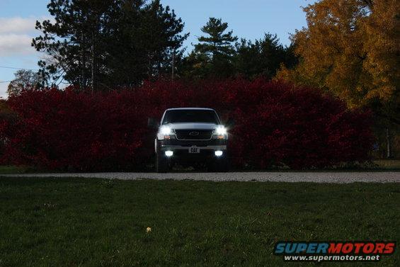 Front view of a silver Chevrolet Silverado pickup truck with headlights and fog lights on, parked in front of a dense red bush