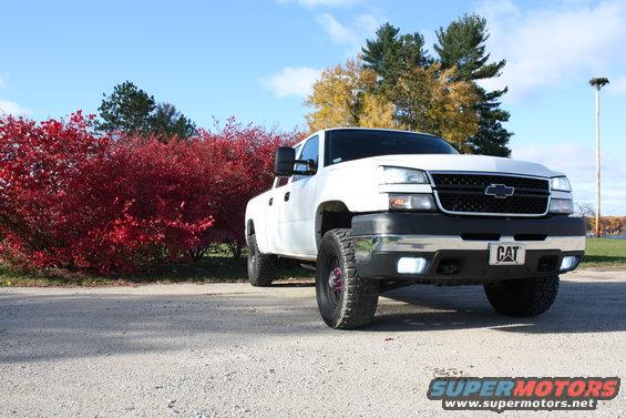 White pickup truck with a CAT license plate, parked near red bushes