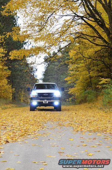 Front view of a white pickup truck on a road covered in yellow fall leaves. Truck has headlights on and a 'CAT' plate on the grille