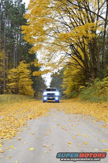 White pickup truck driving on a dirt road covered in yellow leaves, with trees on either side