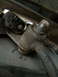 1997 Dodge 3500 - Detail of a sway bar end link connection, showing the hardware involved.
