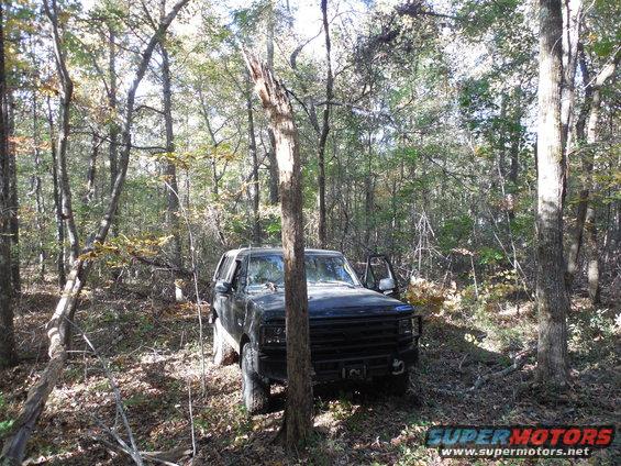 9330tree2b.jpg This dead tree took a few good hits to get all the way to the ground.

It (or one of the others I knocked down today) got into the tie rods & bent the drag link.

[url=http://www.supermotors.net/registry/media/1040906][img]http://www.supermotors.net/getfile/1040906/thumbnail/tierods.jpg[/img][/url]