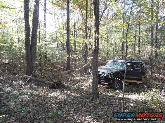 9330tree2e.jpg This dead tree took a few good hits to get all the way to the ground.

It (or one of the others I knocked down today) got into the tie rods & bent the drag link.

[url=http://www.supermotors.net/registry/media/1040906][img]http://www.supermotors.net/getfile/1040906/thumbnail/tierods.jpg[/img][/url]