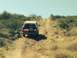 1984 Ford Bronco
