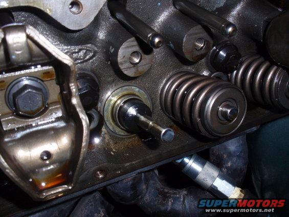 Engine valve springs and rocker arm assembly