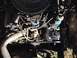 1979 Ford Bronco - Engine bay detail a power steering pump and distributor assembly.