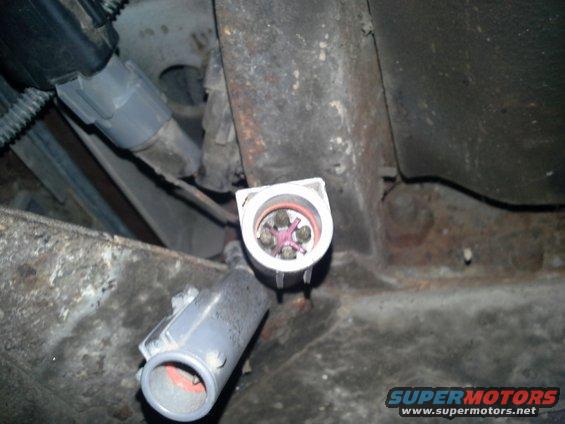 Close-up of a vehicle's electrical connector and wiring harness