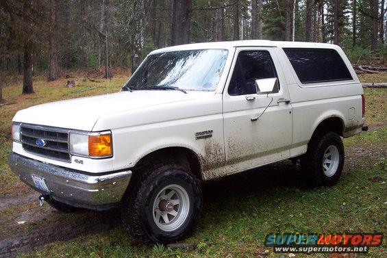 White Ford Bronco parked in a wooded area. It has a blue Ford emblem on the grille and 'Bronco' badging on the fender