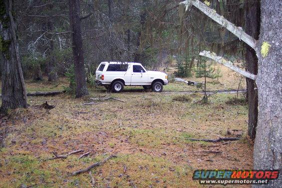 White 1990 Ford Bronco parked off-road in a forest