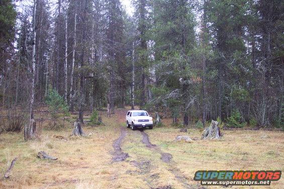White SUV on a dirt track in a forest