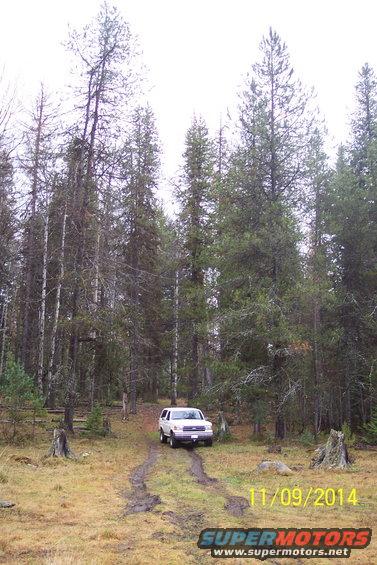 1990 Ford Bronco 3q-front view, white, on dirt road in forest
