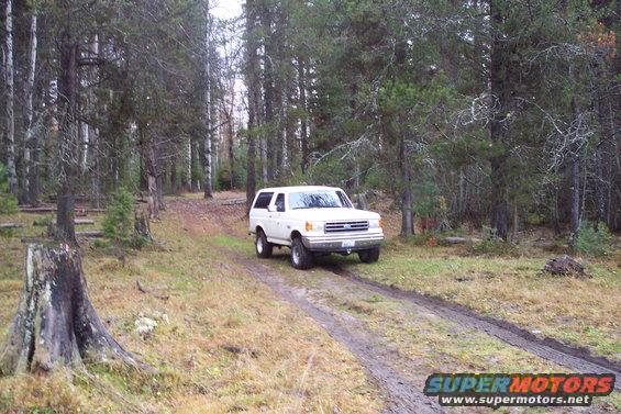 White Ford Bronco driving on a muddy dirt road through a forest