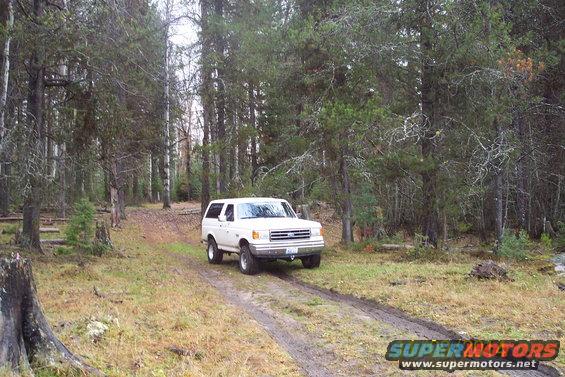 White Ford Bronco on a dirt road in a forest