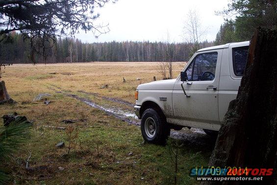 White Ford Bronco parked on a muddy track in a field with trees in the background